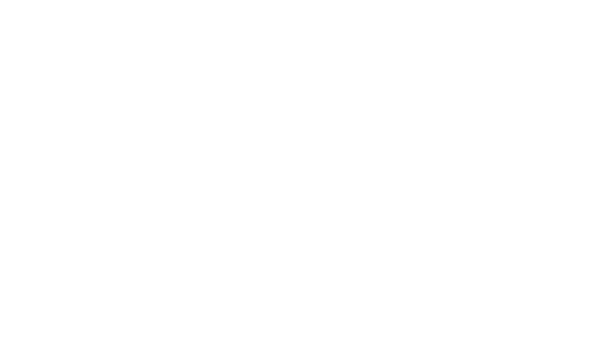 SALESA s.r.o. – More than Sales